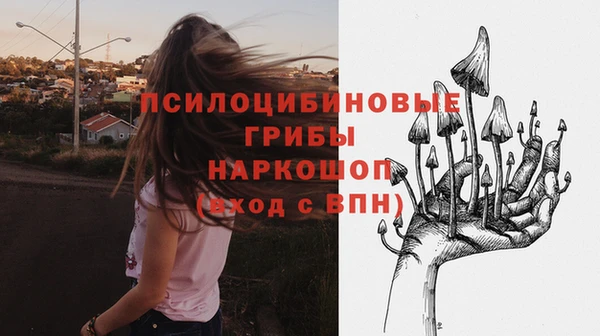 кокаин колумбия Алексин