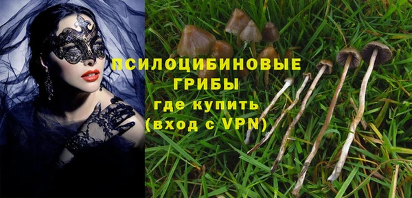 соль ск Алексеевка
